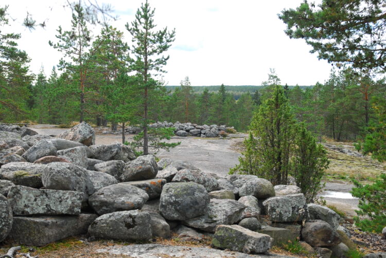 Landscape view of the Bronze Age burial mound area at Sammallahdenmäki. The picture shows gravestones and coniferous trees piled up on the rock. Forest can be seen in the background.