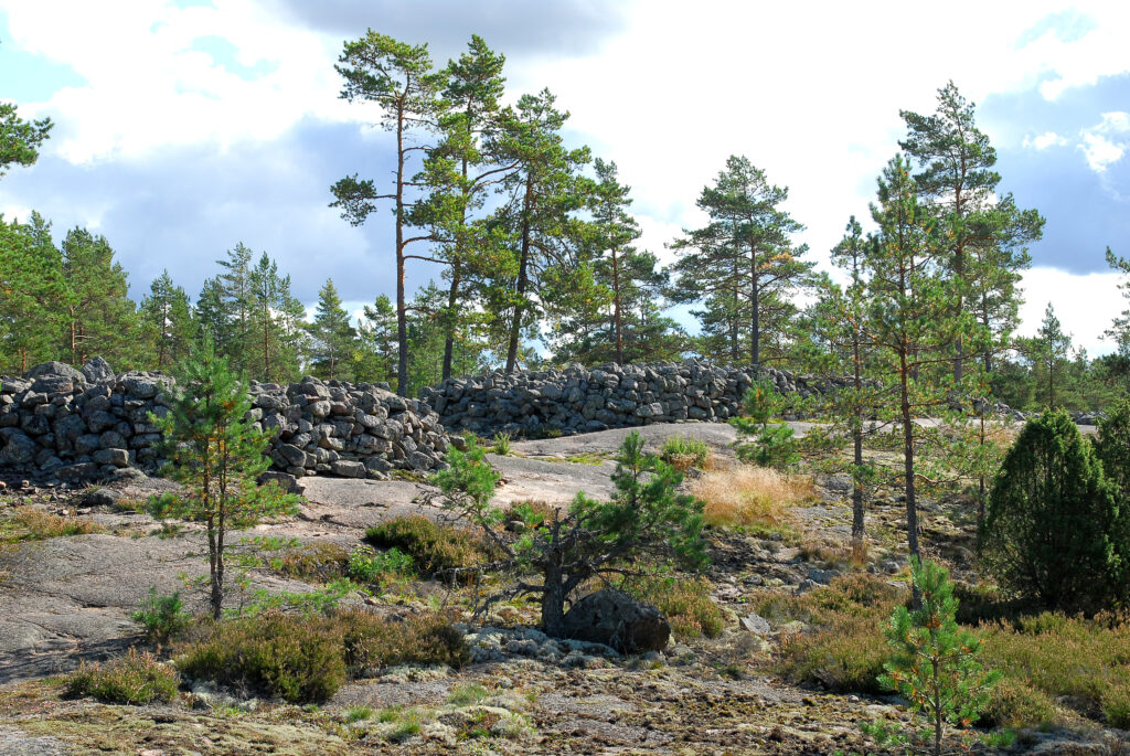 Landscape view of the Sammallahdenmäki Bronze Age burial mound area. The picture shows two stone-built burial mounds. The mound on the right is called the Huilu long barrow. The mounds are located on the top of a rocky hill, and the picture also shows conifers, heather and other plants.