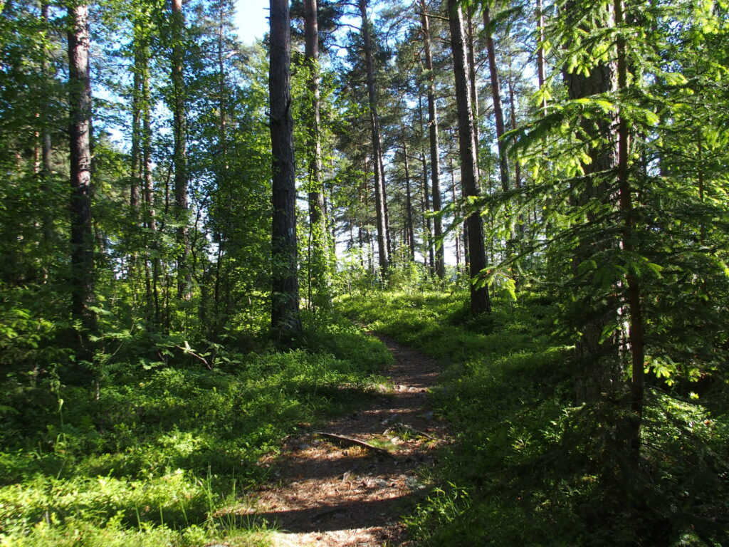 A nature trail in Reksaari in the forest