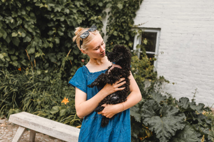 A person holding a dog in their hands