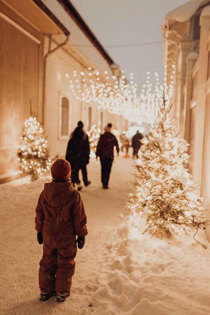 A child watching the lights in the snowy Christmas tree alley.