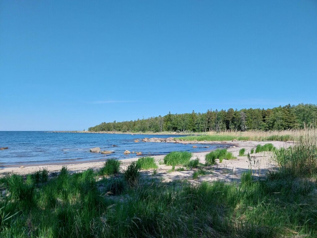 Lemmenpuhti beach during summer.