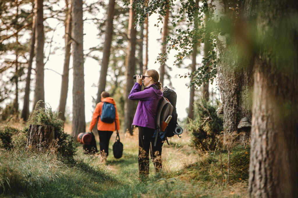 Three persons walking in a forest and one is looking into the distance with binoculars.